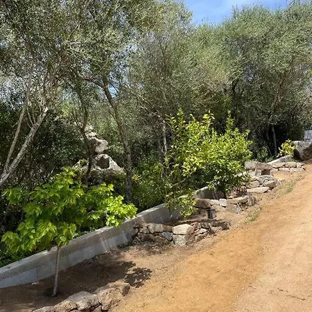 T2 Tres Bien Equipe Vue Et Au Calme Ajaccio (Corsica)