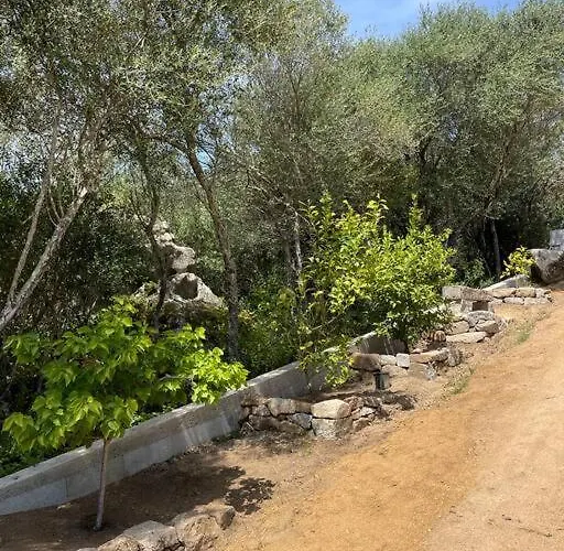 T2 Tres Bien Equipe Vue Et Au Calme 阿雅克肖