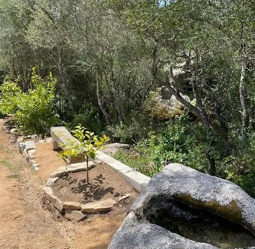 T2 Tres Bien Equipe Vue Et Au Calme 公寓 阿雅克肖